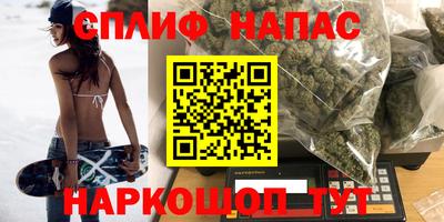 шишки Балашиха