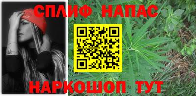 шишки Балашиха