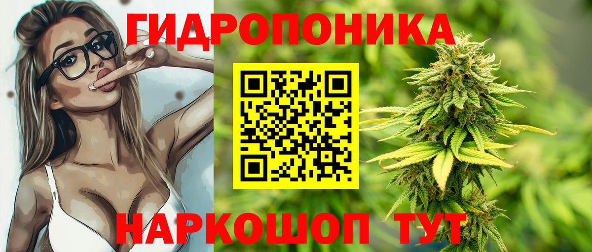 Бошки марихуана VHQ Ессентуки